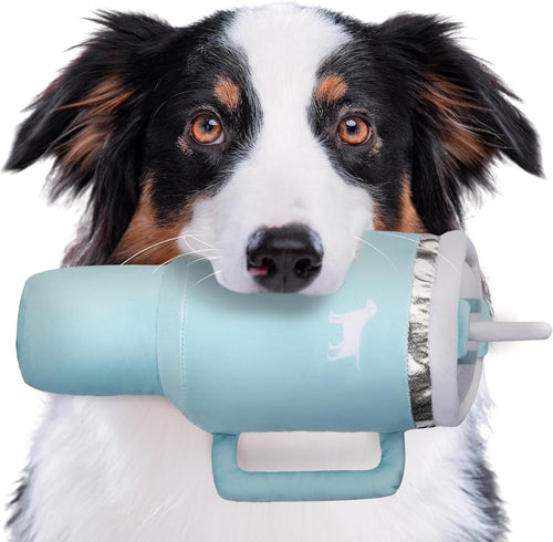 PUPROAR Pup Cup Tumbler Dog Toy in Mint Green